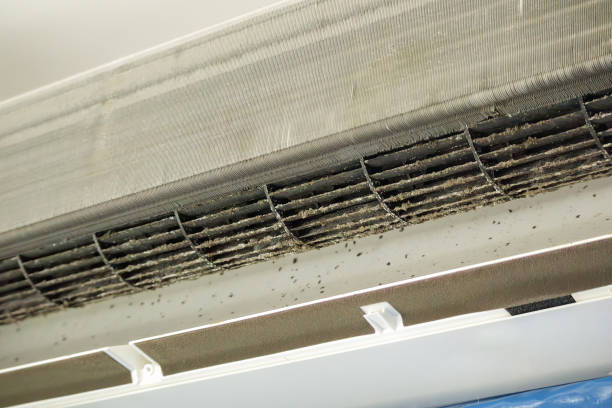 Best Best Air Duct Cleaning Company  in Globe, AZ