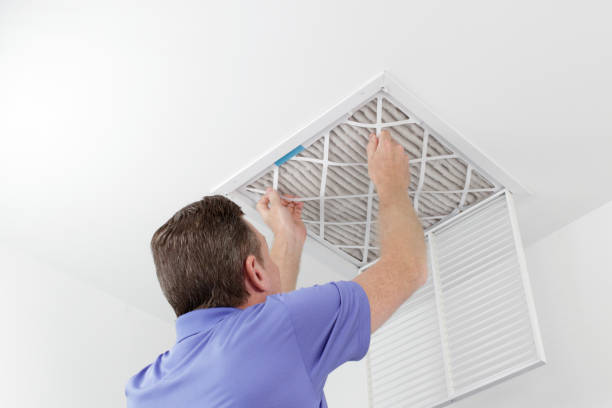 Best Ductwork Cleaning Services  in Globe, AZ